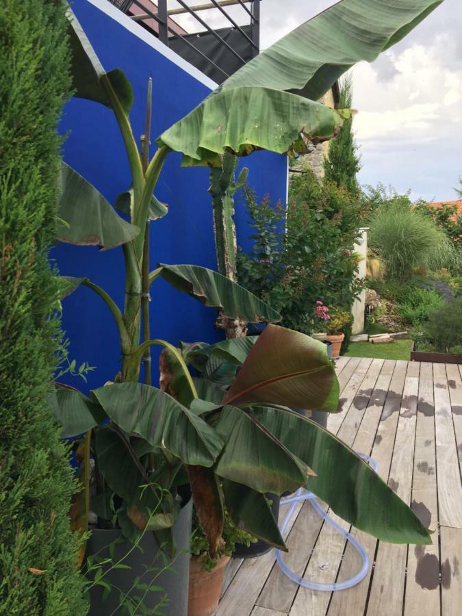Un Havre De Paix Apartment Courcelles-Sapicourt Bagian luar foto